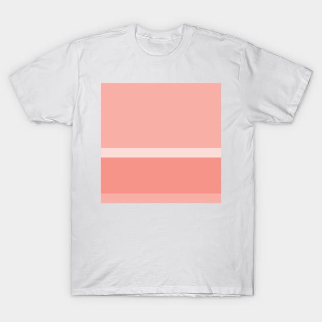 A singular federation of Very Light Pink, Pale Pink, Melon and Peachy Pink stripes. T-Shirt by Sociable Stripes
